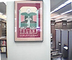 Tulane Poster in Courthouse